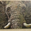 57 Walter Wegger "Elefant" - Acryl, 33x27cm